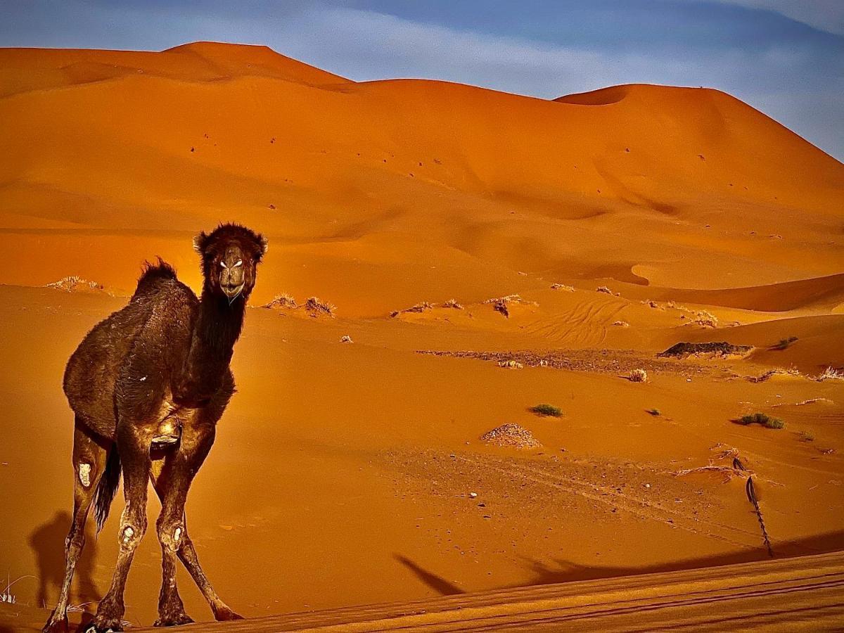Your Berber Camp Мерзуга Экстерьер фото
