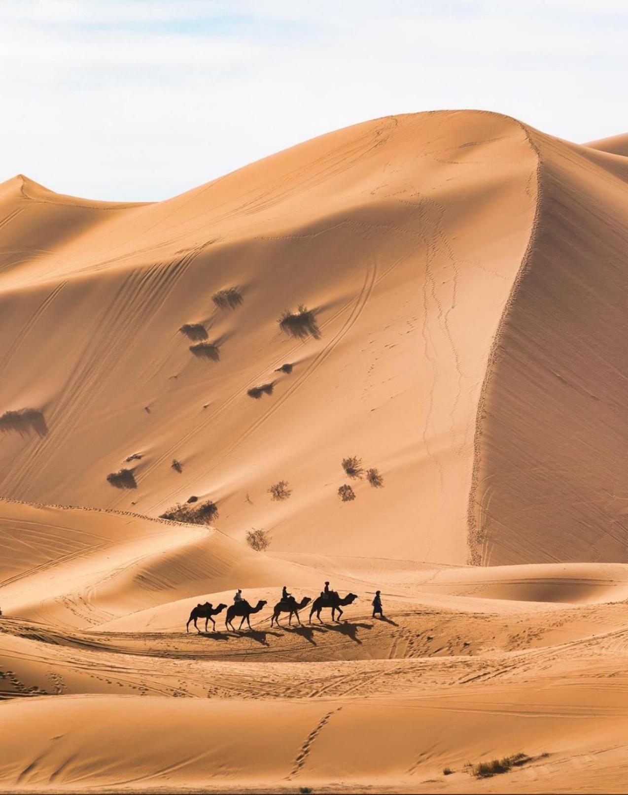 Your Berber Camp Мерзуга Экстерьер фото